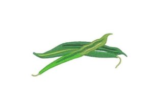 Bush Beans: A Surprisingly Versatile Embroidery Design